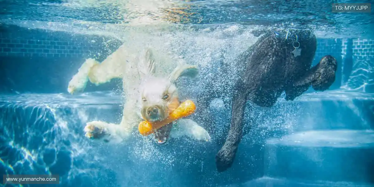 📱实时弹幕,全球球迷在线狂欢!💬